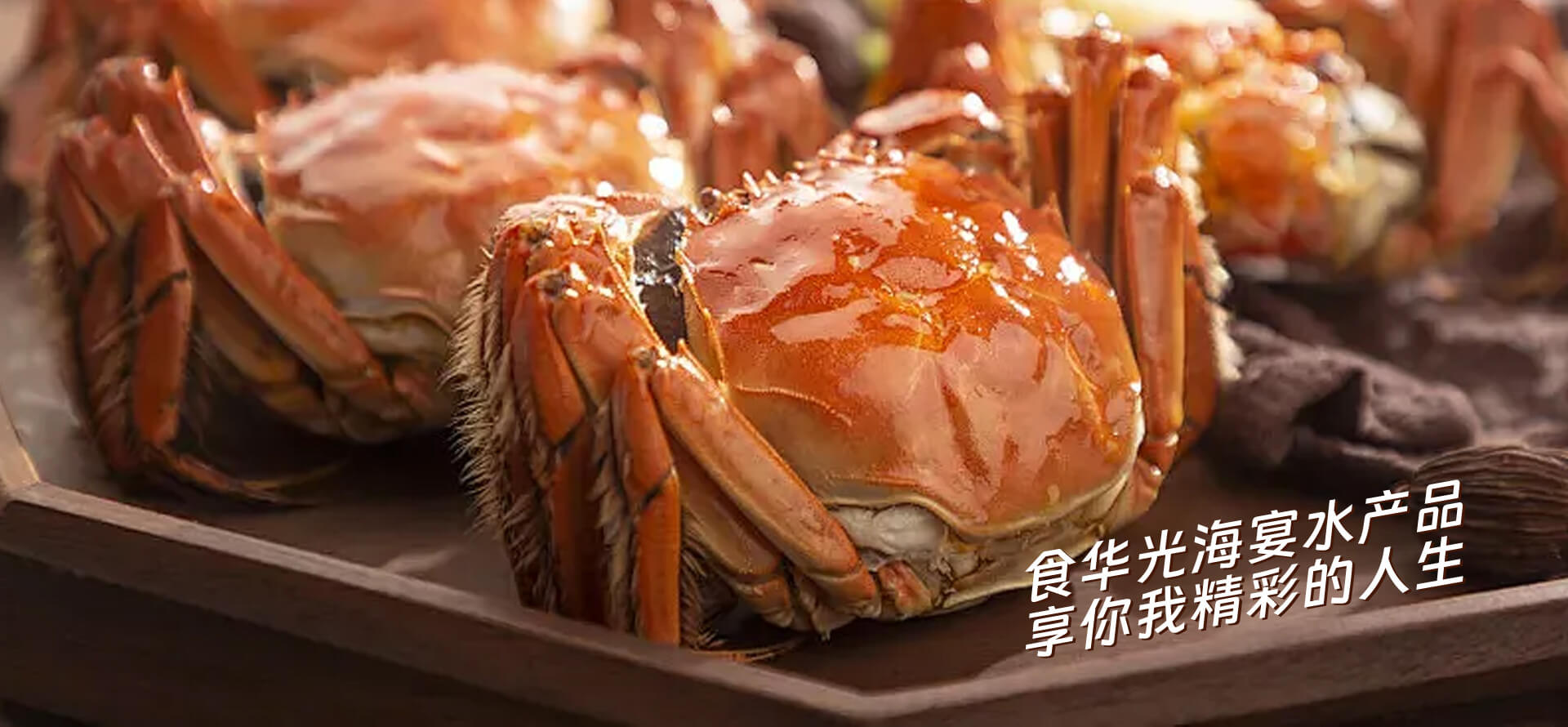 产品中心